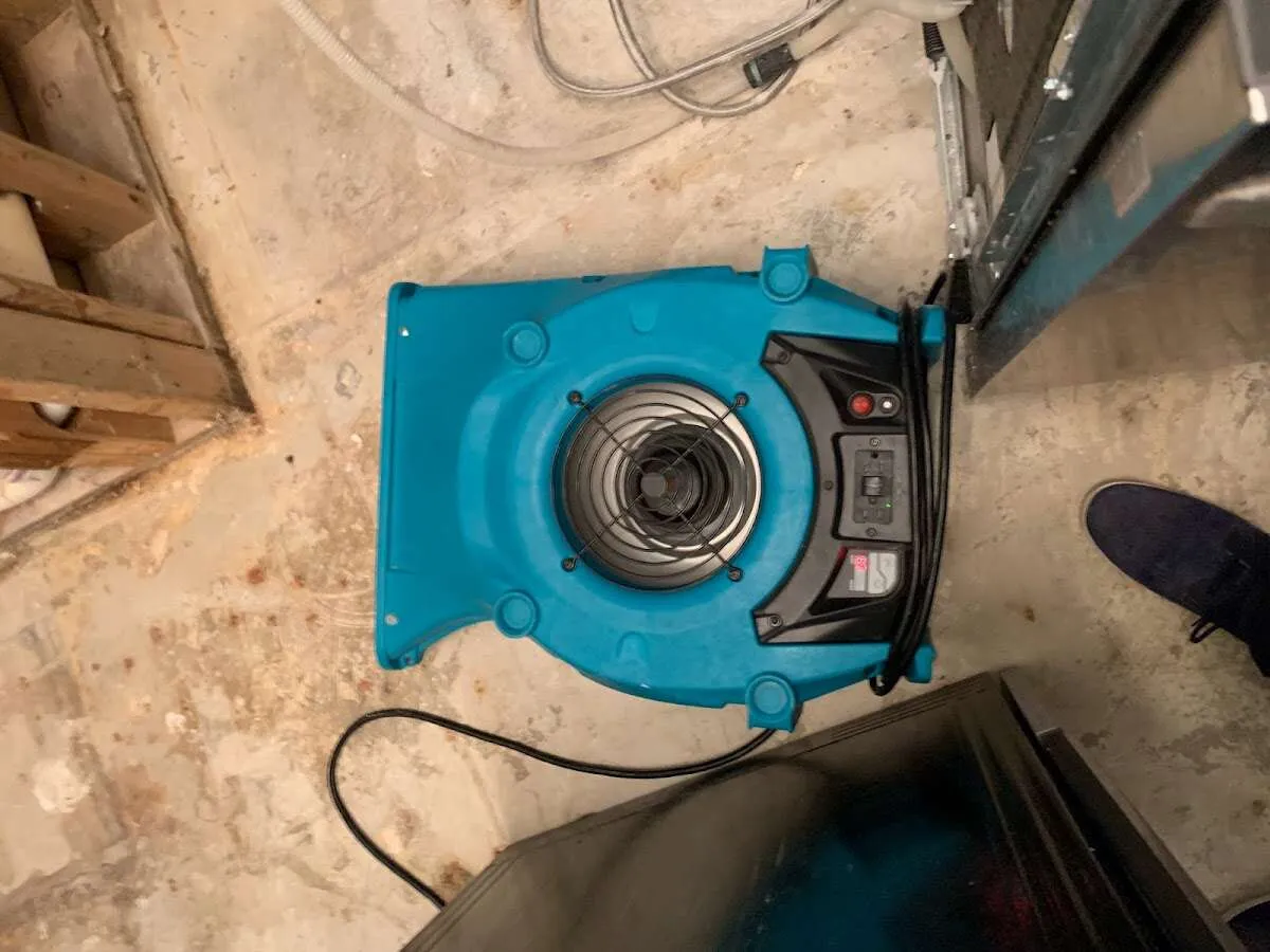 Air mover drying equipment for Mold Remediation & Removal in Tarboro