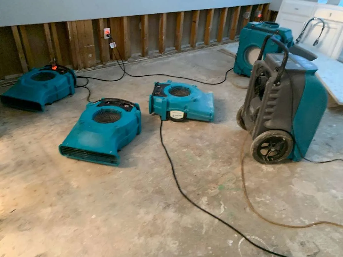 Mold Remediation & Removal in Tarboro, NC